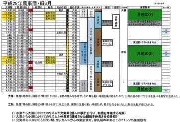 平成29年旧6月農事暦.jpg