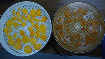 doraimanngo-2.jpg